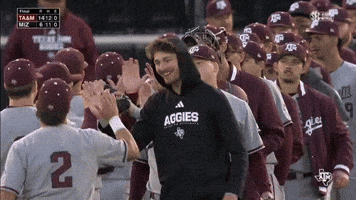 High Five College Baseball GIF by Texas A&M Athletics