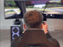 Driving Car Racing GIF by PaddlUp
