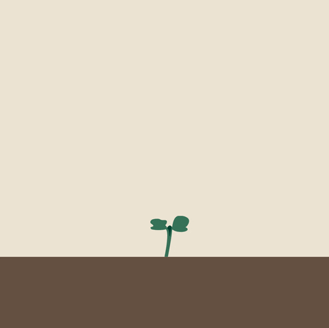 Plants Grow GIF by KWS - Find & Share on GIPHY