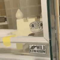 dude please GIF