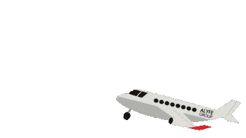 Loop Travel Sticker by ALYFE