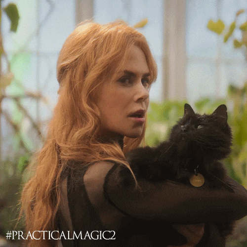 Nicole Kidman Cat GIF by Warner Bros. Pictures
