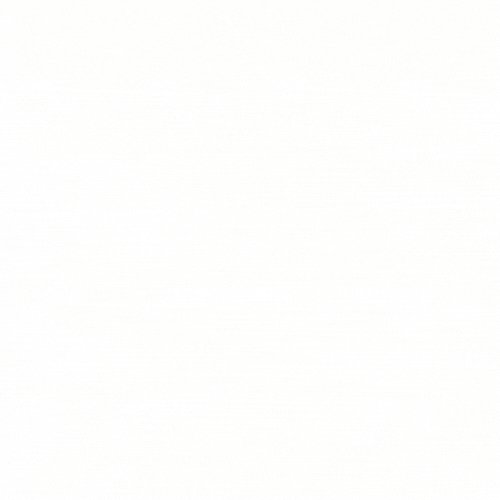 #SALON GIF