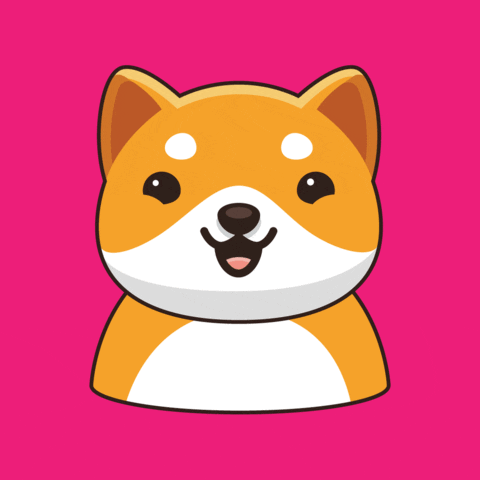 Fun Love GIF by Baby Doge Coin