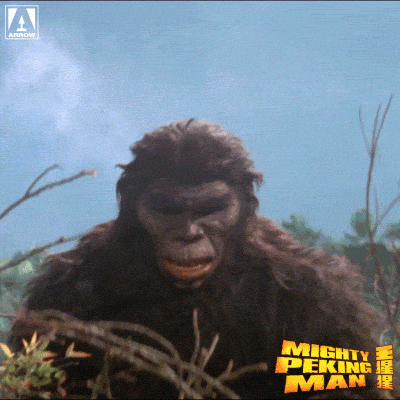 Gorilla Man GIFs - Get the best GIF on GIPHY
