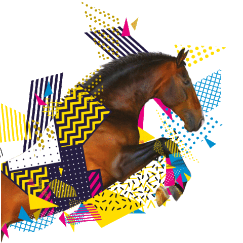 Cheval Sticker by EQUIDAYS