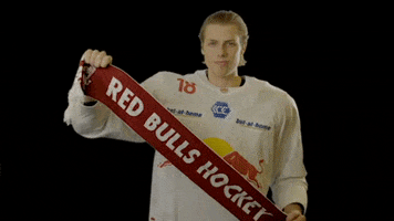 Celebrate Ice Hockey GIF by EC Red Bull Salzburg