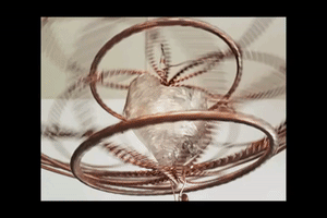 brianbesco sacred geometry torus flower of life activation GIF