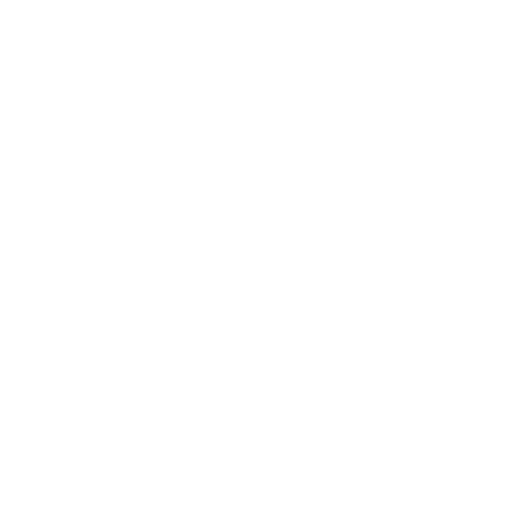 Pioneermotorsport Sticker by Pioneer 4x4