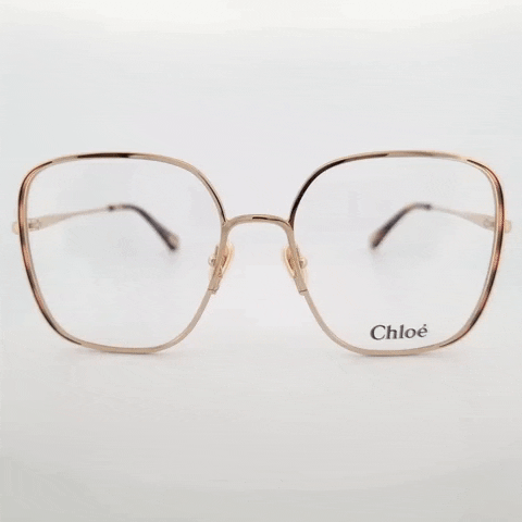 GIF by Optiek Van Renterghem