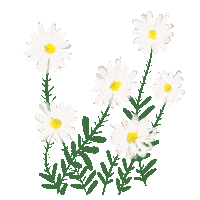 Flowers Spring Sticker