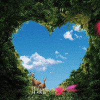 Animated Gif Images Of Nature