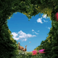 animated gif images of nature