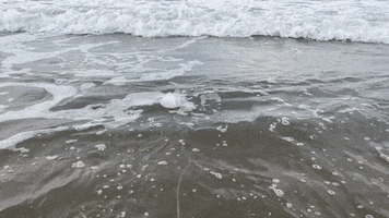 Water Wave GIF by Johns Hopkins Applied Physics Lab