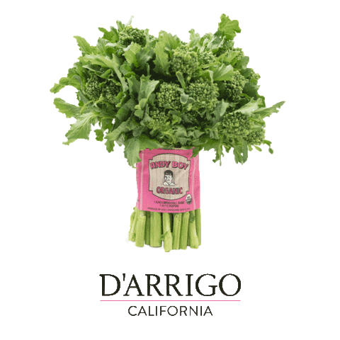 Italian Rapini Sticker