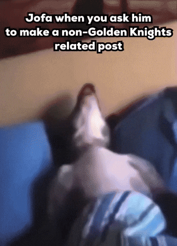 Goldenknightsmemes GIF