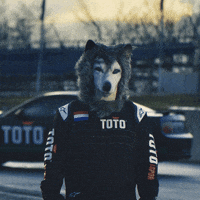 Formula 1 Reaction GIF by Toto