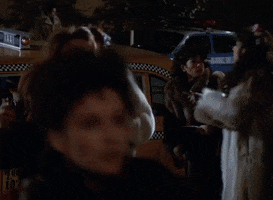 Fur GIF