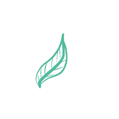 Leaf Sticker