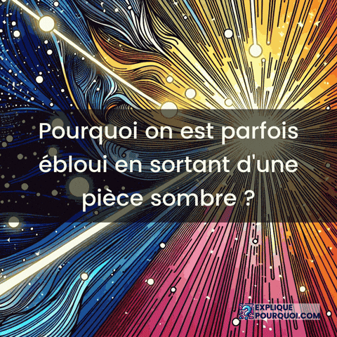 Pupille GIF by ExpliquePourquoi.com