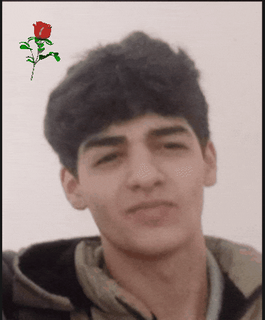 Ulvichan GIF by Tg Core