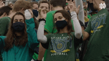 Notre Dame Nd Football GIF by Notre Dame Fighting Irish
