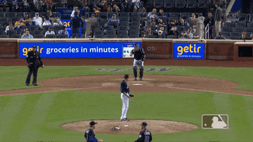 Major League Baseball GIF by New York Mets