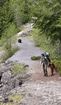 Funny-hike GIFs - Get the best GIF on GIPHY
