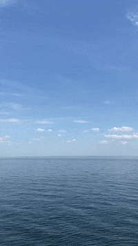 Nature-background GIFs - Get the best GIF on GIPHY