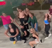 Palomita GIF