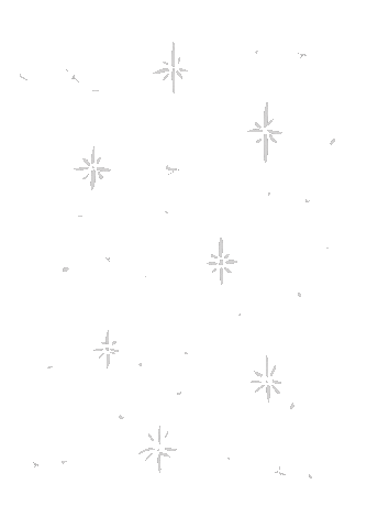 Star Sticker