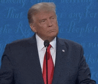 200w.gif?cid=6c09b9522bb5ntqt4hhshyfafsq