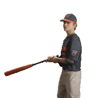 Wcsubaseball Sticker by WCSU