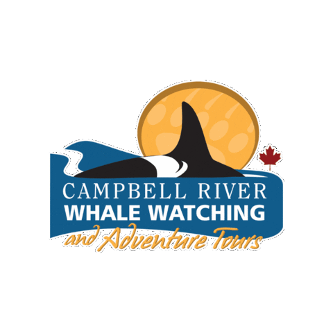 Campbell River Whale Watching and Adventure Tours Sticker