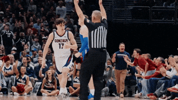 Celebration Mario GIF by zagsgotdudes