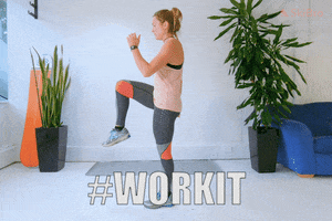 SkiBro GIF