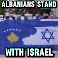 Israel Albania GIF