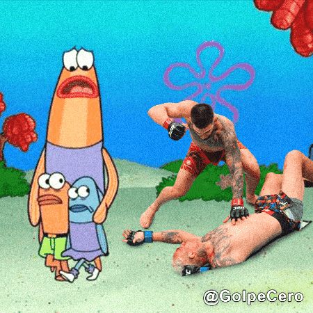 Ufc Mma GIF