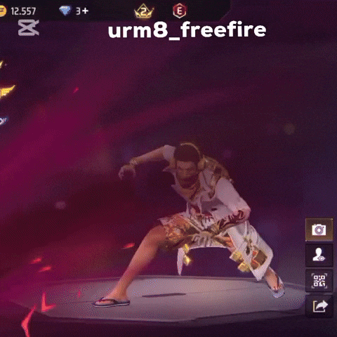 Freefire GIF