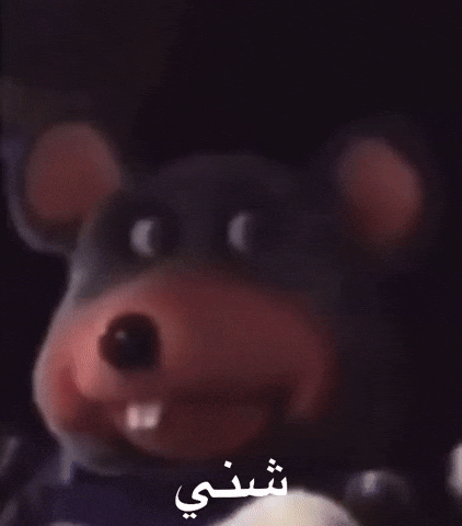 Iraq GIF by Bashar