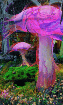 Magic Mushrooms GIF - Find & Share on GIPHY
