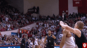 Stare Down GIF by Indiana Hoosiers
