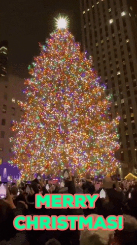 Christmas Tree GIF by Storyful