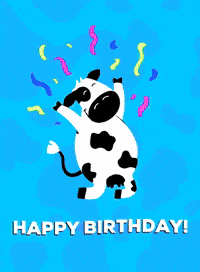 Birthday-cow GIFs - Get the best GIF on GIPHY Birthday-cow GIFs - Get the best GIF on GIPHY