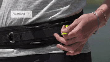 mamo pet sports GIF