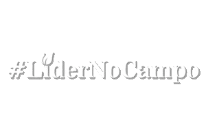 Líder Agronegócios Sticker