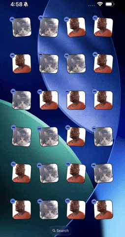 Cat Iphone GIF by PERFECTL00P