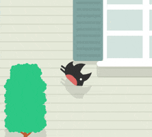 house bird GIF by Lowe's Home Improvement