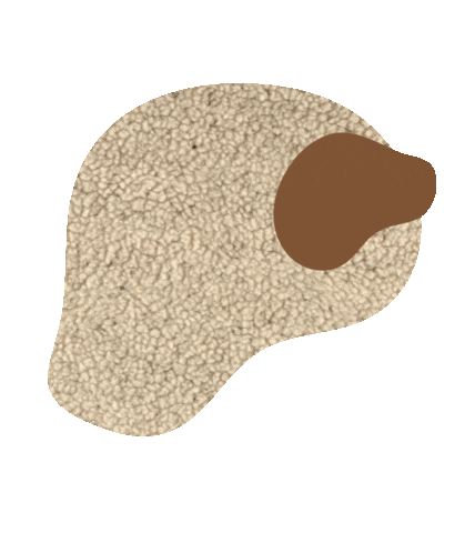 Effects Sticker by Teddy Goods Co.