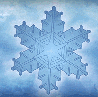 snow blizzard GIF by Digg